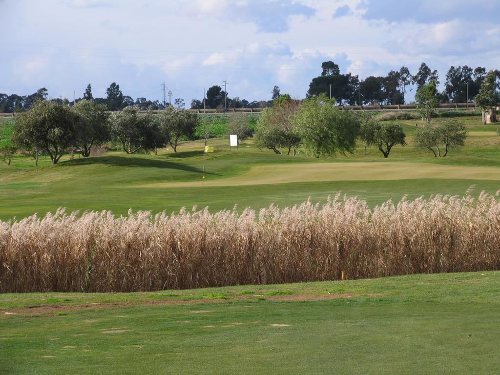Pensjonat Golf Club Metaponto Zewnętrze zdjęcie